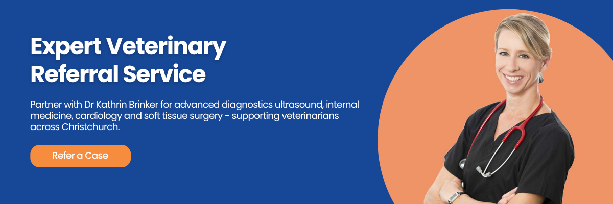Expert Veterinary Referral Service &ndash; Partner with Dr Kathrin Brinker. Refer a Case.